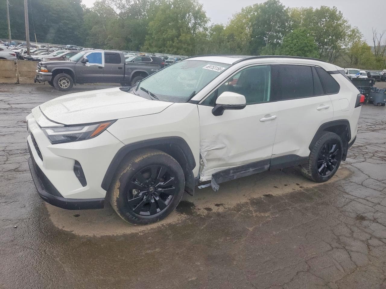 2025 TOYOTA RAV4 XLE